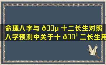 命理八字与 🐵 十二长生对照「八字预测中关于十 🌹 二长生用法秘传」